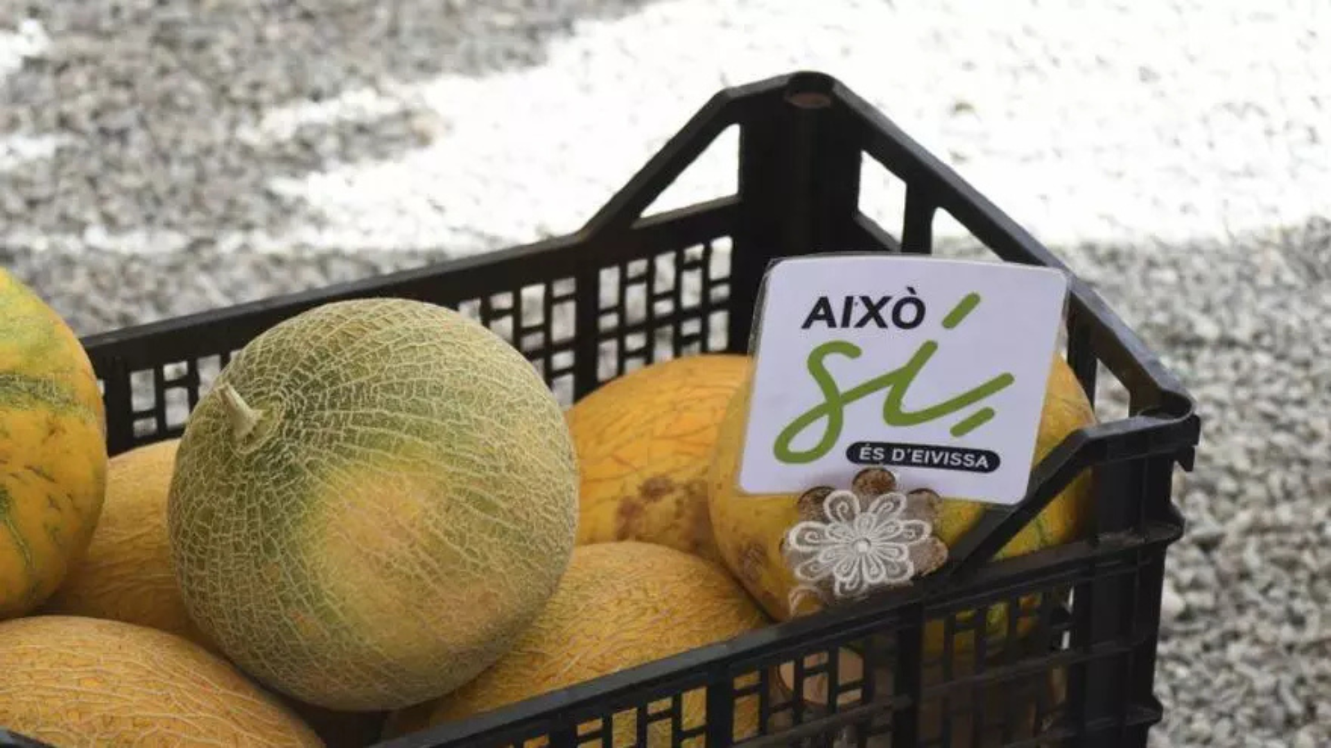 zero food waste